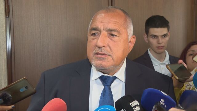 Лидерът на ГЕРБ Бойко Борисов призова изпълнителната власт да търси