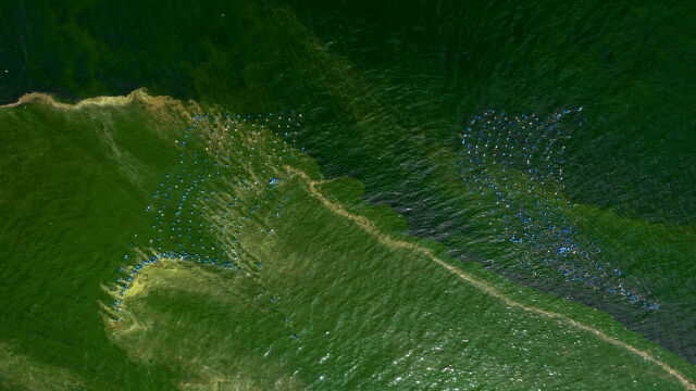 Необичайно гъст цъфтящ планктон оцвети водите на залив край Тайланд в