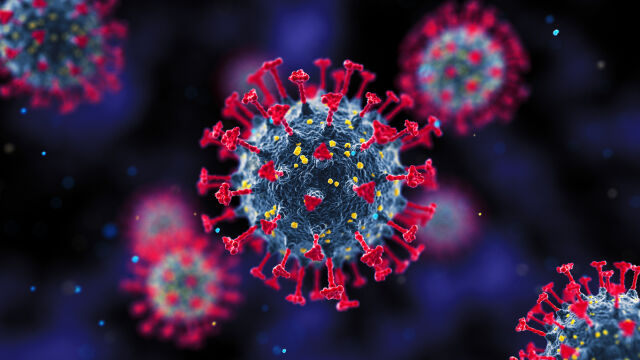 Американските здравни власти съобщиха за четвърти случай на птичи грип