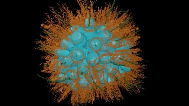  В невероятно негостоприемно езеро учените са открили нов дребен вид