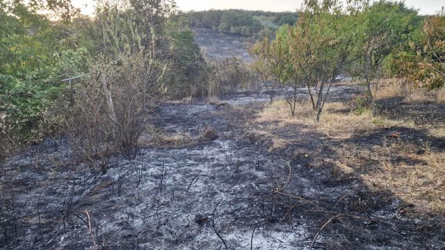 Пожар гори между селата Горна Бешовица и Кален Врачанско предаде