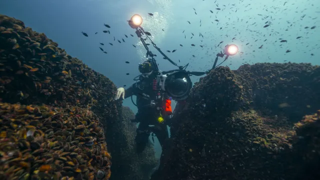 Чистотата на Черно море