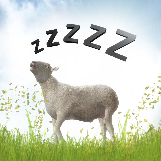 Защо броим овце срещу безсъние?