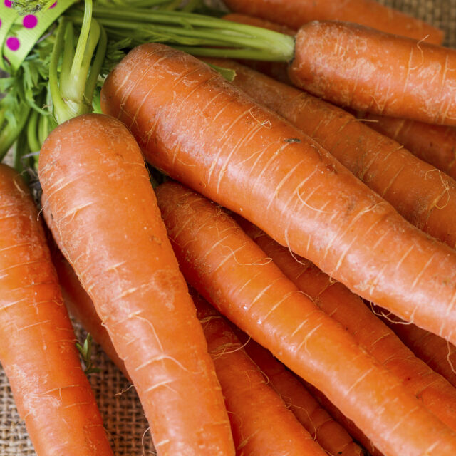 Неизброимите ползи от морковите
