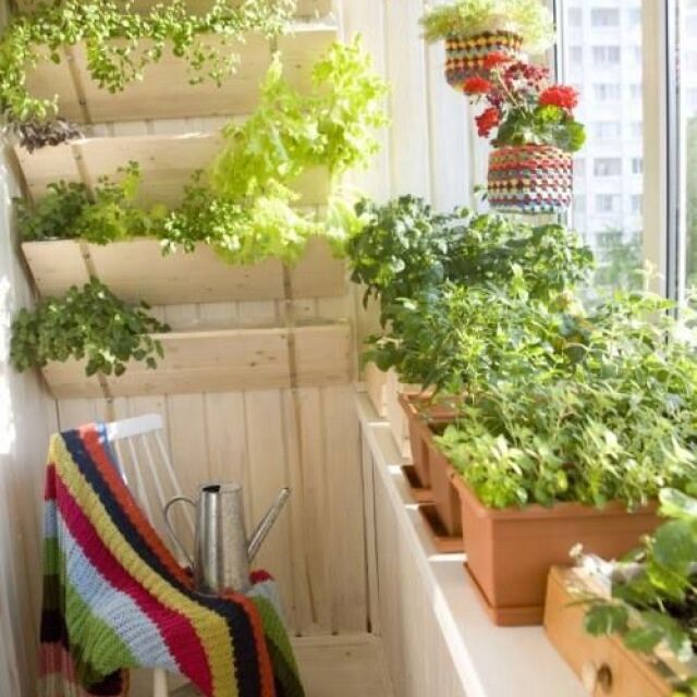 Какво да засадим на балкона през есента?
