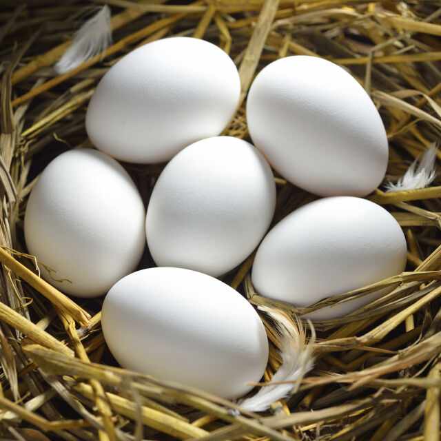 5 белега, по които да разпознаем прясното яйце