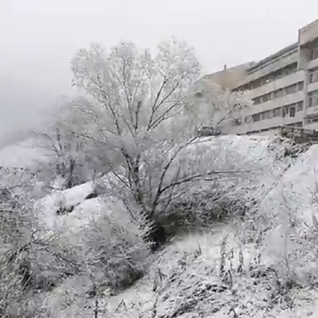 Сняг изненада различни части на страната