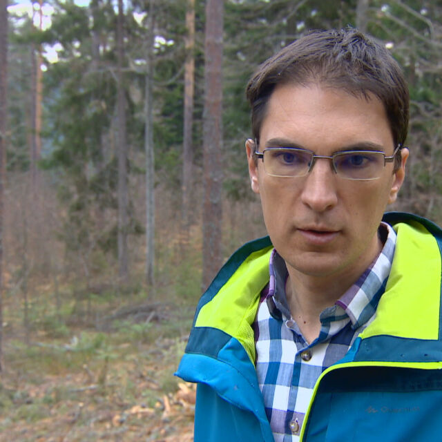Лесовъд природозащитник оглавява агенцията по горите