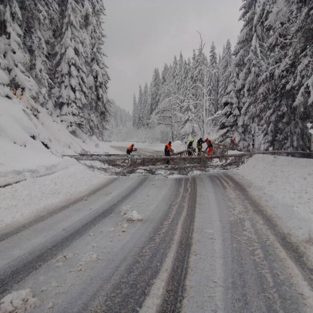 Обилен снеговалеж остави редица населени места без ток в Смолянско
