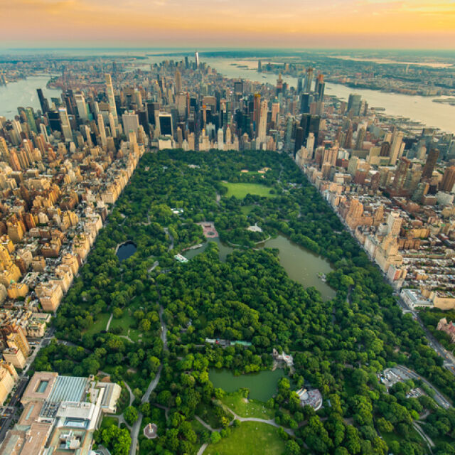 Крайна мярка: Ню Йорк може да използва паркове си за погребения на жертвите на COVID-19