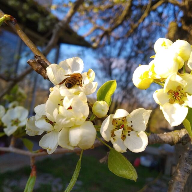 Снимка на деня: Пролет в село Близнак