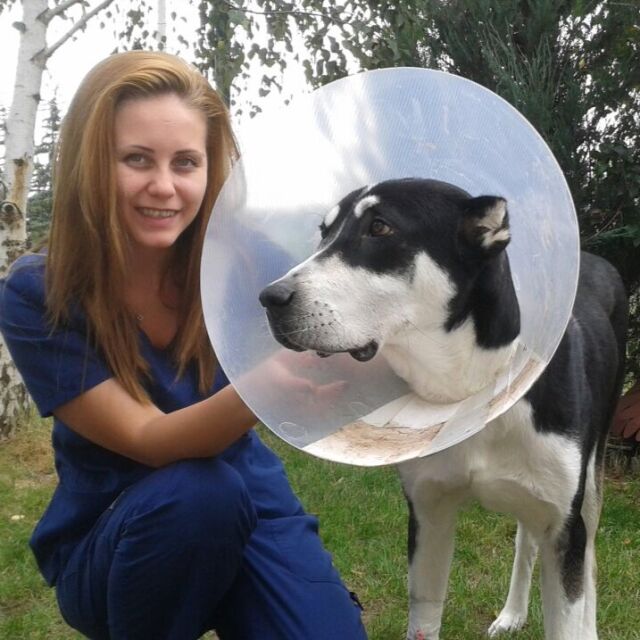 Ветеринарният лекар Тереза Лаловска: Не мийте животните си с дезинфектанти