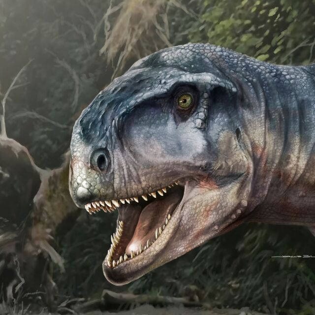 Учени откриха череп на хищен динозавър отпреди 85 млн. години