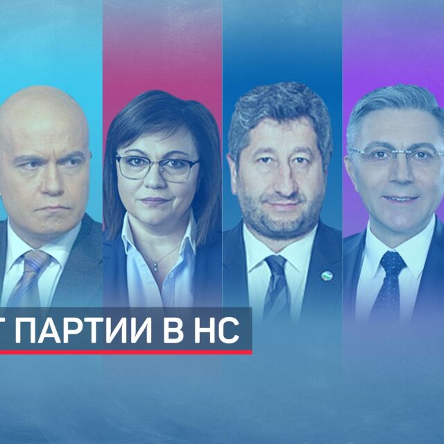 Шест партии в новия парламент без националисти (ОБЗОР)