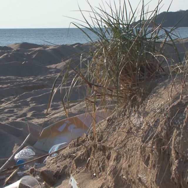 РИОСВ и Министерството на туризма с различни изводи за разорания плаж край Созопол