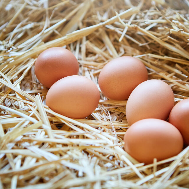 Как да направим по-хуманен избор при покупката на яйца