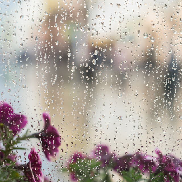 Времето в неделя: Облачност и жълт код за валежи с гръмотевици