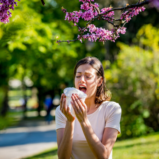 Пролетта и алергията: Кои са 5-те най-често срещани сезонни алергии?