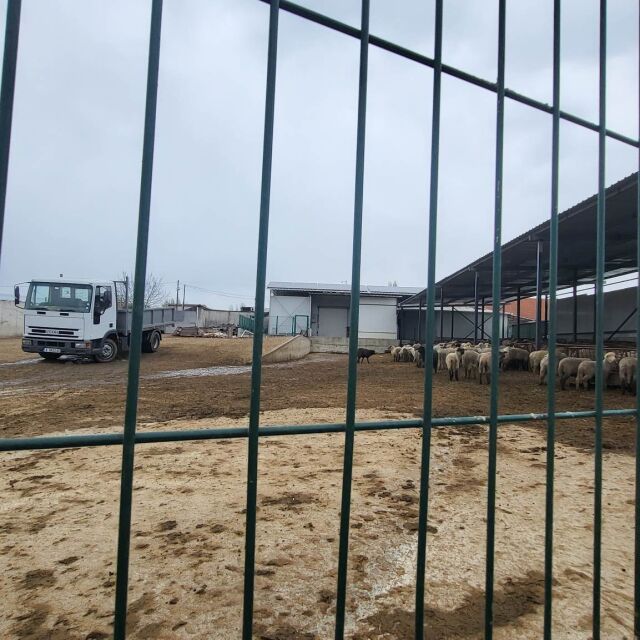 Затварят предприятие в Кърджалийско заради 32 тона агнешко