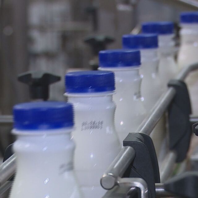 Нов продукт на пазара: Какви са изискванията за свежото прясно мляко?