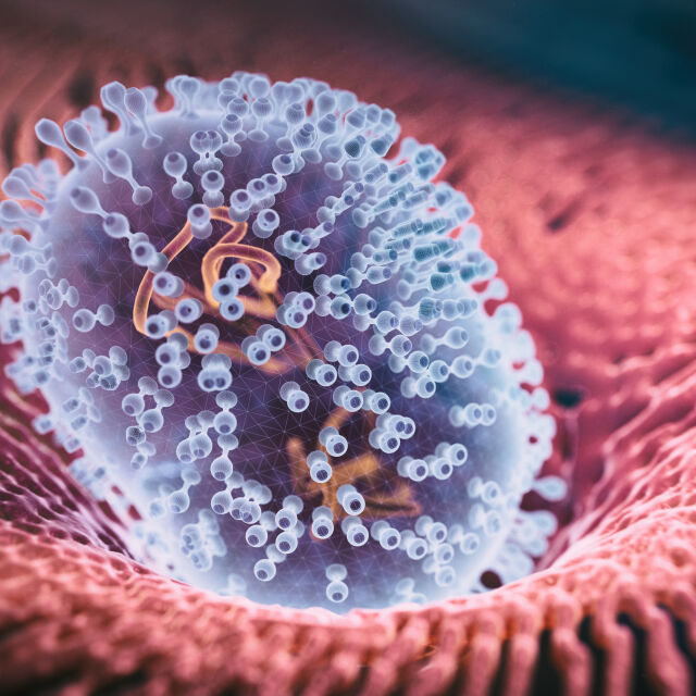 Проучване: Вируси на милиони години помагат в борбата с рака