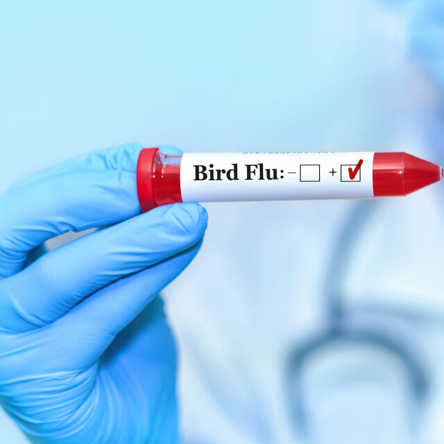 Нов случай на птичи грип при човек в Тексас