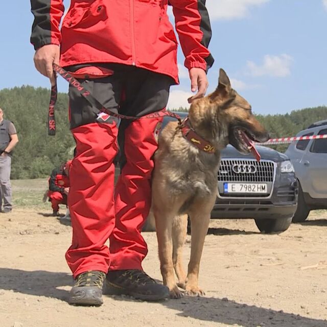 Откриха полигон за обучение на спасителни кучета в Разлог