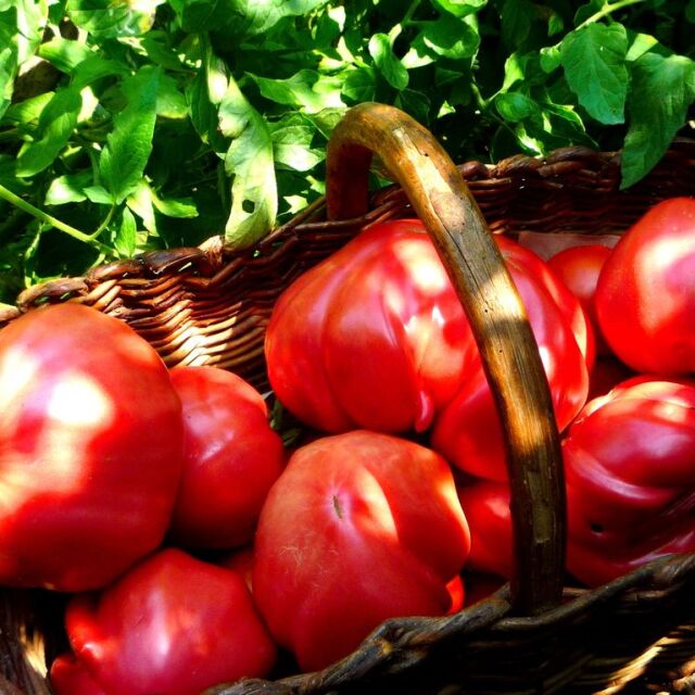 Селско пържено с домати