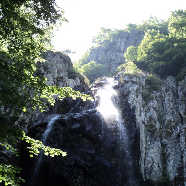 Спасяват паднал катерач в района на Боянския водопад