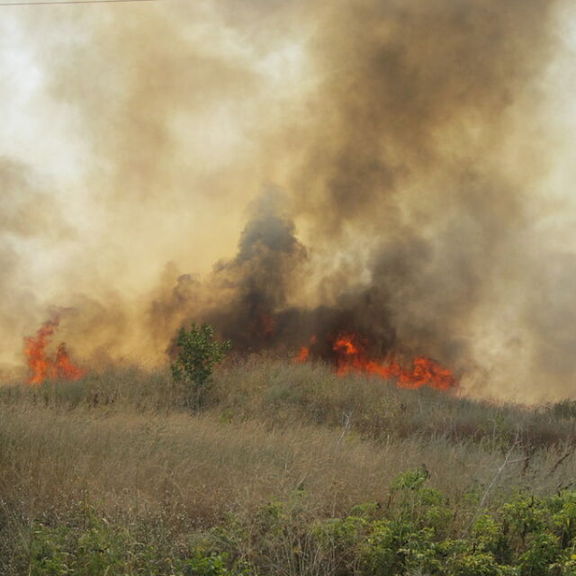 Хасковски военни гасят огромен пожар в Свиленградско