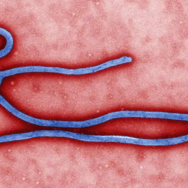 По-малко от 1% вероятност за ебола у нас