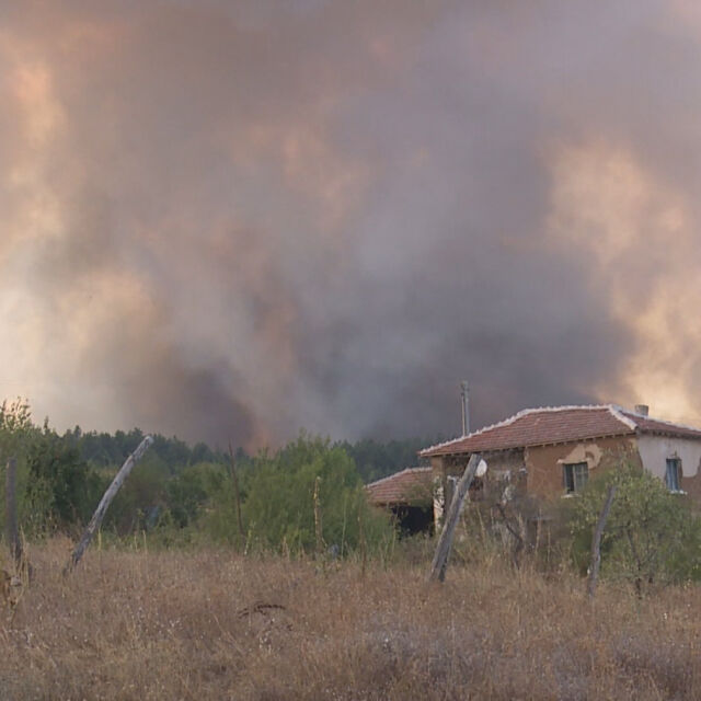 Трима души са задържани за горския пожар край Тополовград