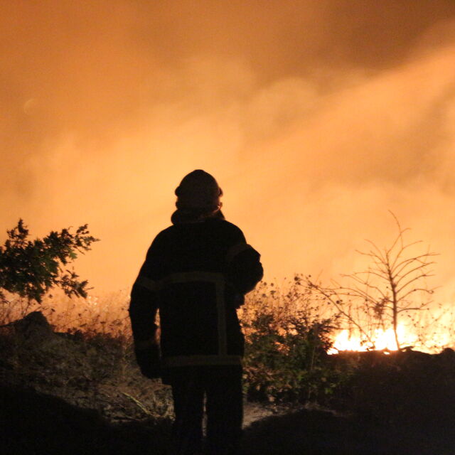 Пожарът край Тополовград не е локализиран