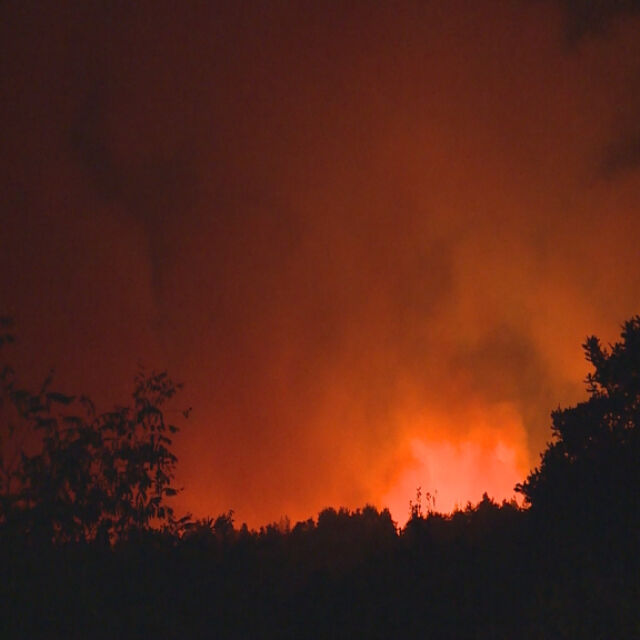Пожарът край Тополовград вече обхвана 10 000 декара