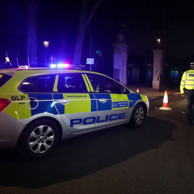 Задържаха мъж след опит да нападне полицаи пред Бъкингамския дворец 
