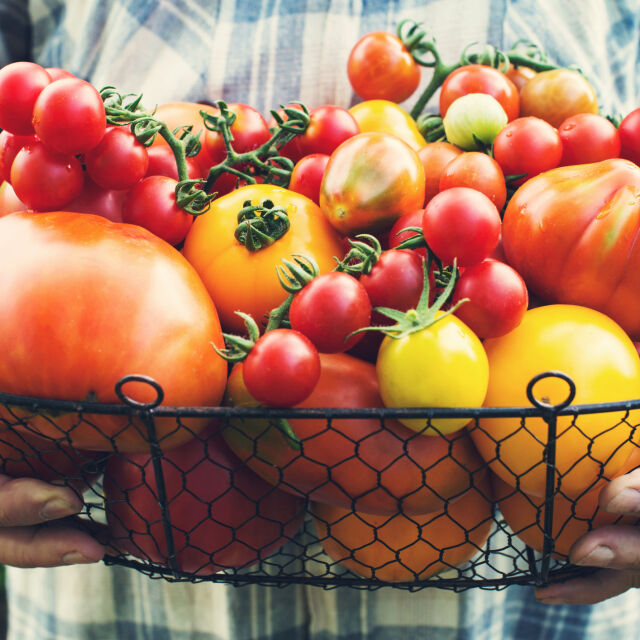 Хапваме ги цяло лято, но знаем ли какви ползи ни носят доматите?