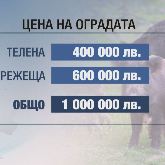 Над 1 млн. лв. ще струва оградата срещу диви прасета