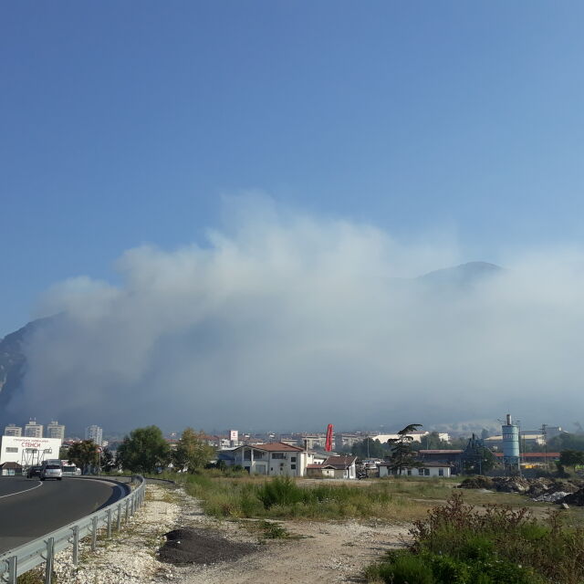 Голям пожар избухна в борова гора над Карлово (СНИМКИ)