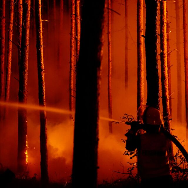 Жегата причини мащабен горски пожар в Германия