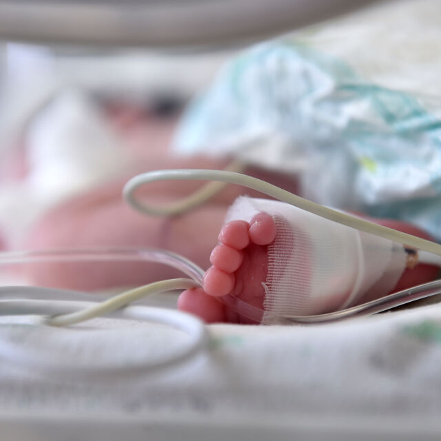 Чешки доктори изродиха здраво бебе от жена, изпаднала в мозъчна смърт над 100 дни