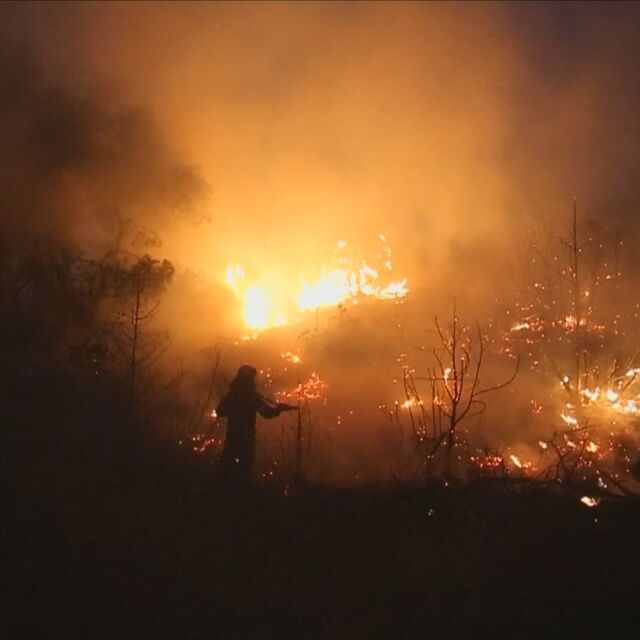 Голям пожар гори на гръцкия остров Евбея