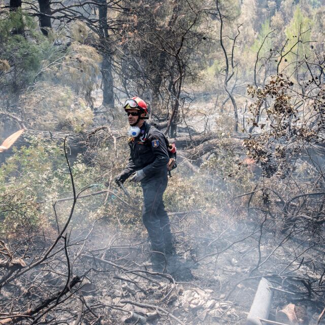 Локализиран е пожарът на гръцкия остров Евбея