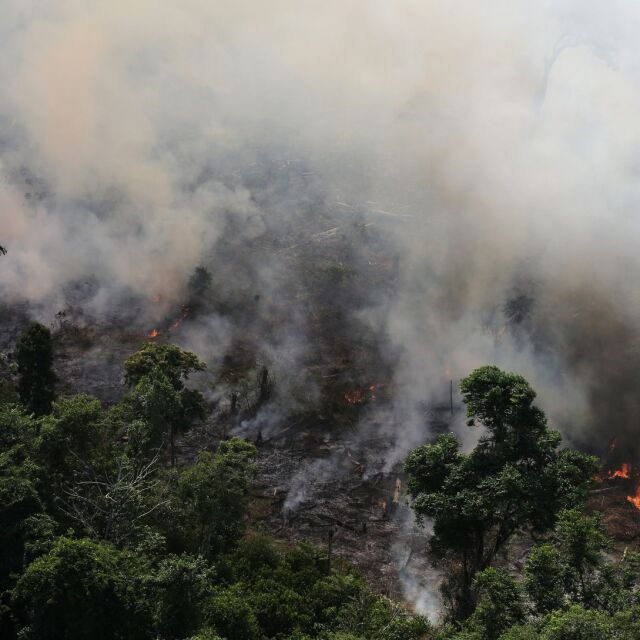 Над 70 000 пожара горят в Амазонската джунгла (СНИМКИ И ВИДЕО)