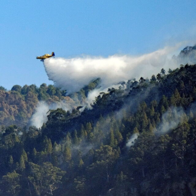 Ситуацията с пожарите на Канарските острови се стабилизира