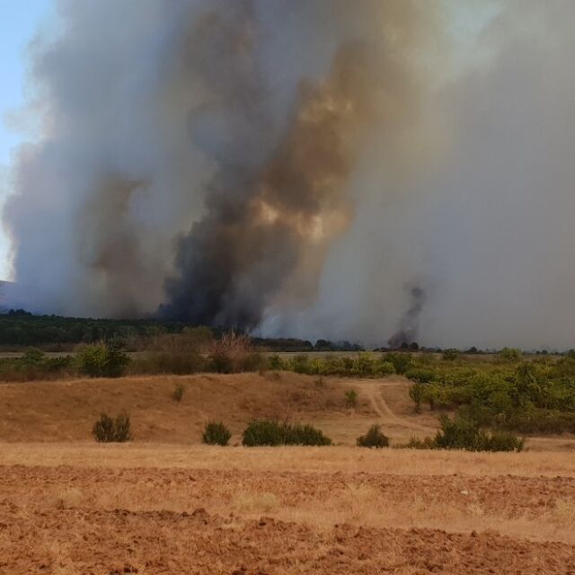 Пожар избухна в гора между новозагорските села Еленово и Сокол (ВИДЕО)