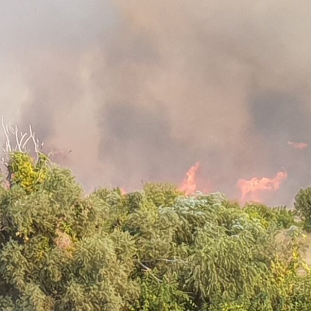Пожарът между селата Еленово и Сокол е овладян