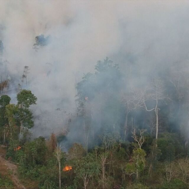 Пожарите в Амазонската джунгла са се увеличили с 20% през юни