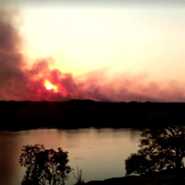 Хиляди пожари унищожават горите в Амазония