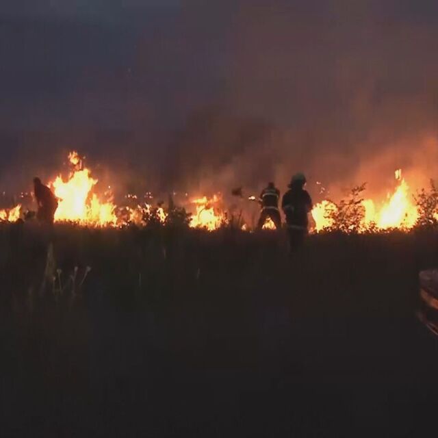 Около 30 дка розови масиви изгоряха в Казанлъшко