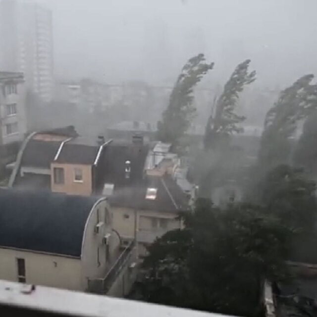 Бурята в София събори дървета и преобърна покриви на сгради